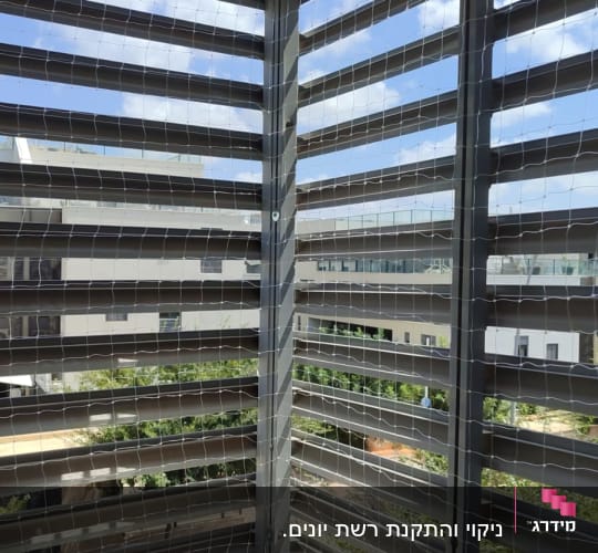 רשת יונים מותקנת על מרפסת למניעת כניסת יונים